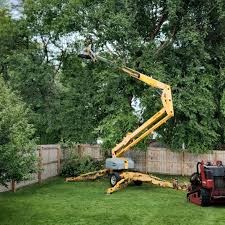 Best Lawn Grading and Leveling  in Peralta, NM