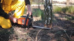 Lawn Irrigation Installation and Maintenance in Peralta, NM